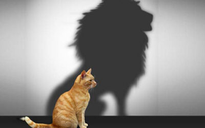 Mások ítéletei alapján határozod meg magad?