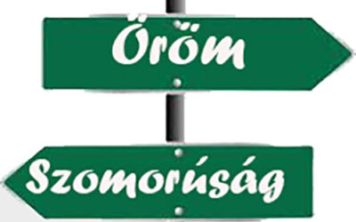 A szomorúság és az öröm két Access Bars pontok